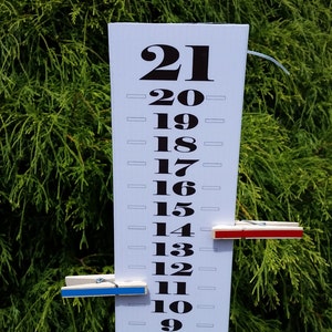 May include: A white rain gauge with black numbers from 9 to 21, with a blue and a red clothespin attached. The gauge is set against a backdrop of green foliage and grass.