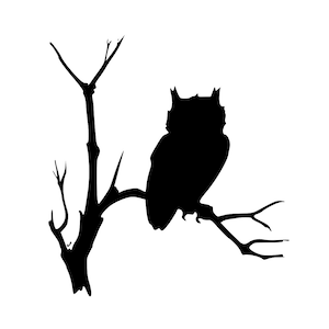 Owl Silhouette - Vinyl Graphic Art Decal