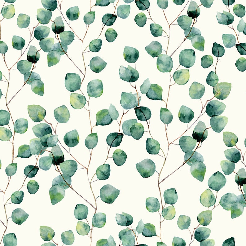May include: A seamless pattern featuring watercolor illustrations of eucalyptus leaves in shades of green on a white background.