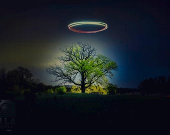 Ethereal Night Glow – Illuminated Tree and Light Ring Photography Print