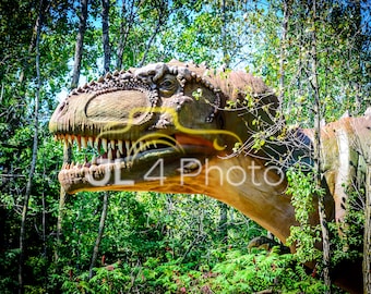 Tyrannosaurus Rex - T-REX - - Dinosaur Print