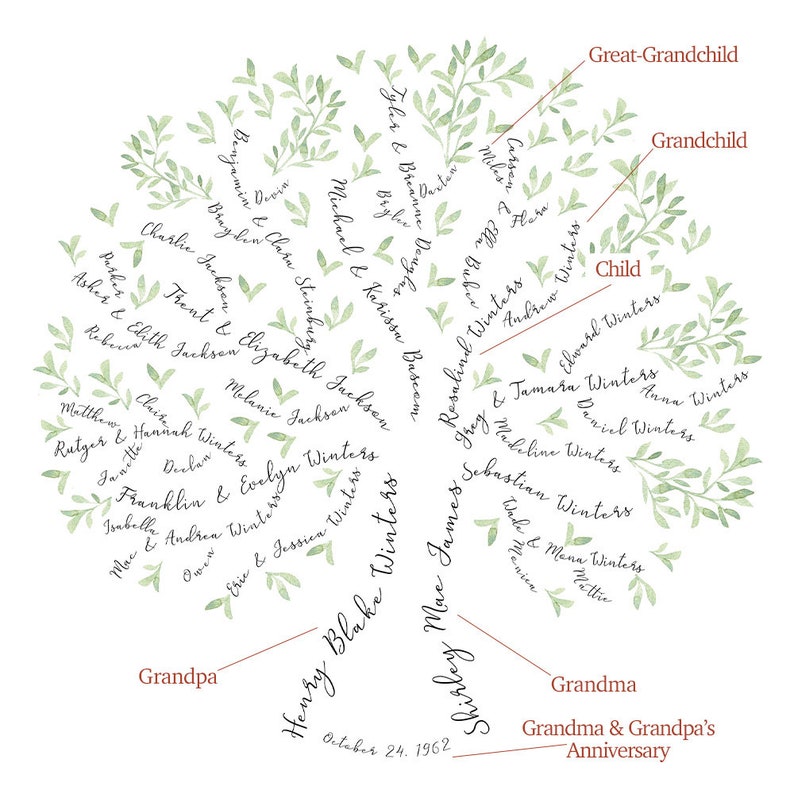 Pu&ograve; includere: Un'illustrazione ad acquerello di un albero genealogico con foglie e rami verdi. I nomi dei membri della famiglia sono scritti sulle foglie, tra cui "Nonno", "Nonna", "Pronipote", "Nipote" e "Figlio". La data "24 ottobre 1962" &egrave; scritta in fondo all'albero.