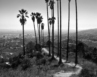 Hiking in Paradise - Los Angeles - California - Palm Trees - Landscape Photography - Cityscape - Black and White - Fine Art - Large Format