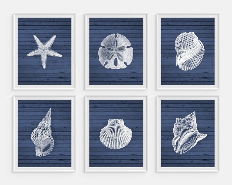 Coastal Art Prints Seashell Wall Decor Beach Signs House