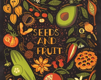 NEW Seeds and Fruit Art Poster