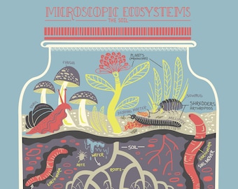 Micro Ecosystems: Soil Terrarium Art Print