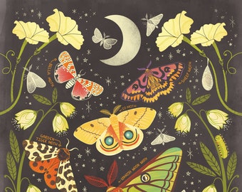 Night Moths Art Print