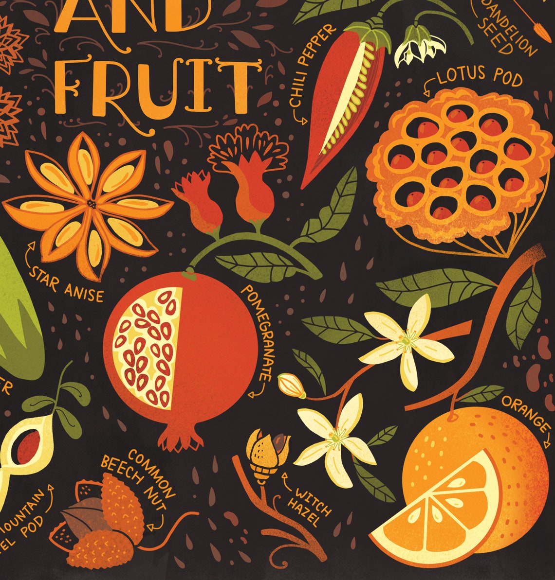 NEW Seeds and Fruit Art Poster Etsy