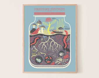 Micro Ecosystems: Soil Terrarium Art Print