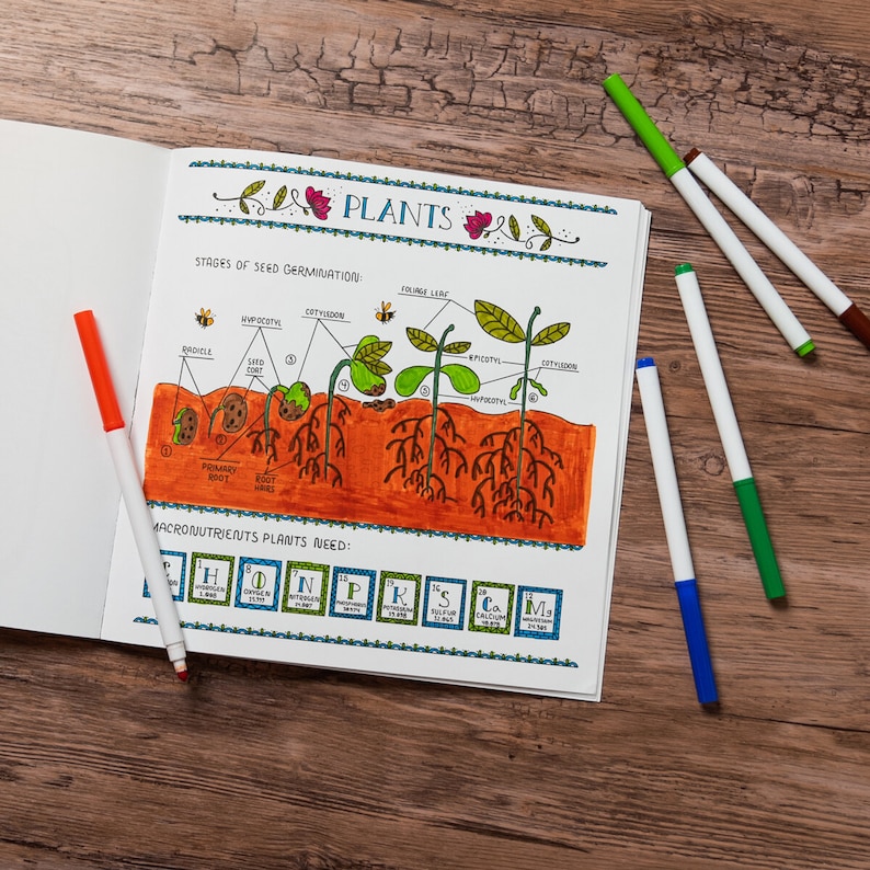NEW the Wondrous Workings of Science and Nature Coloring Book Etsy