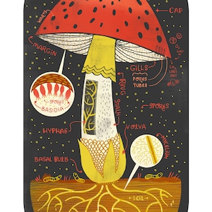 The Anatomy of a Mushroom art print