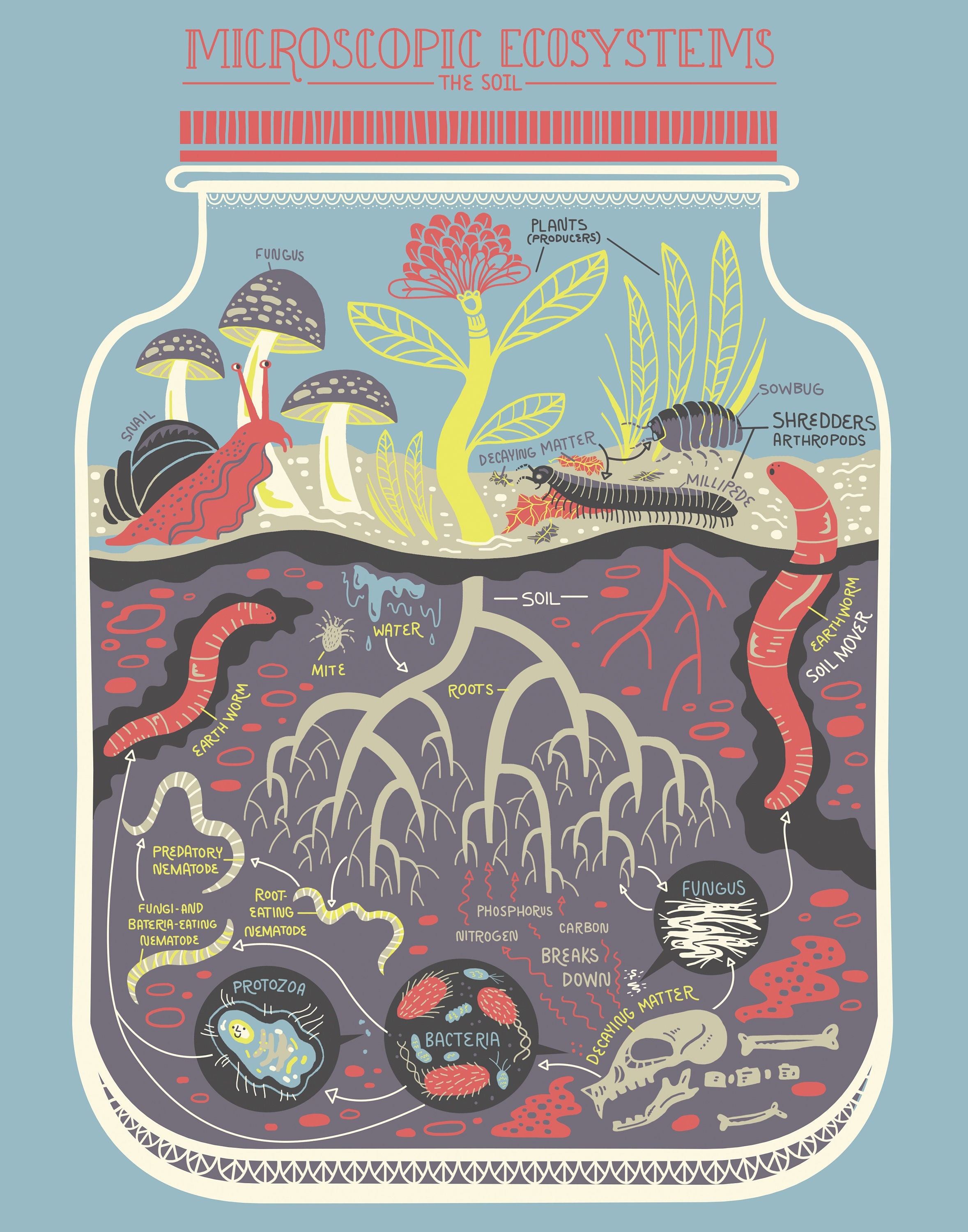 Micro Ecosystems: Soil Terrarium Print Etsy