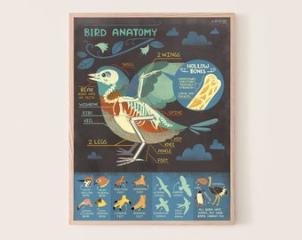 Bird Anatomy art Print: Bones!