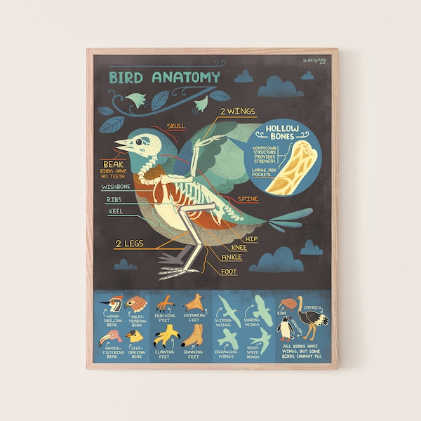 Bird Anatomy art Print: Bones!