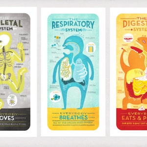 All Five of The Body System Prints DEAL