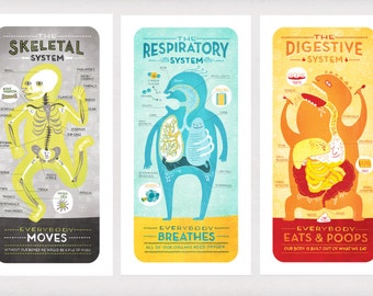 All Five of The Body System Prints DEAL