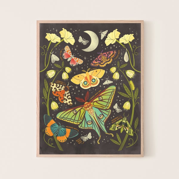 Night Moths Art Print