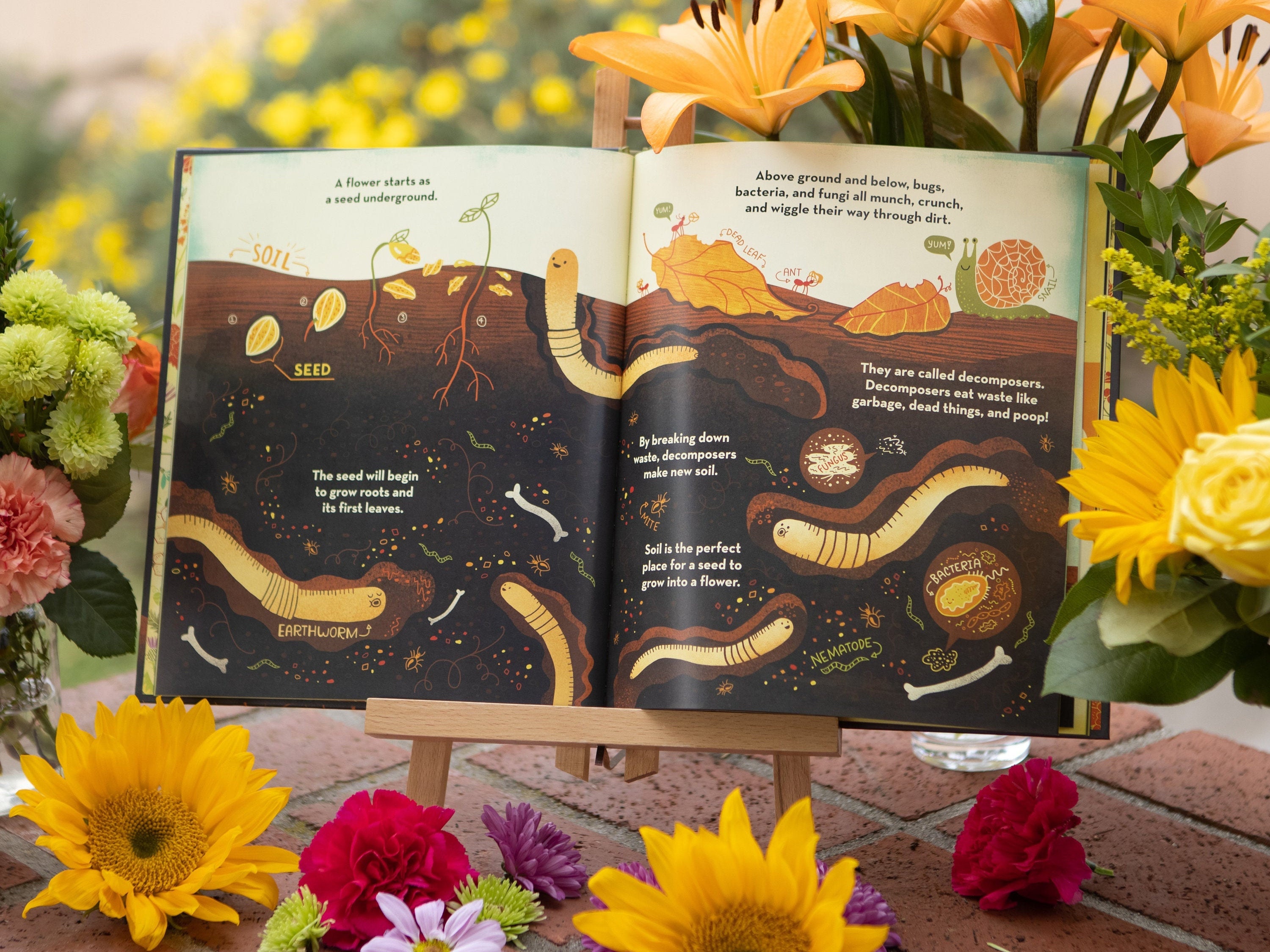 De Beweging, image size:3000x2250