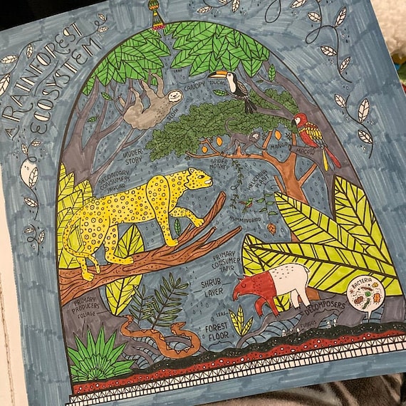 Mirror Transformations Coloring Book-MindWare (see Description) | UK