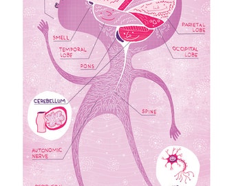 The Nervous System Poster