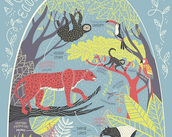 A Rainforest Ecosystem: Terrarium Art Print