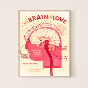 Your Brain in Love: Anatomy Poster