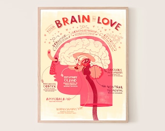 Your Brain in Love: Anatomy Poster