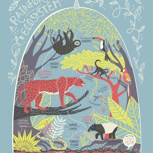 All Eight Ecosystem Prints DEAL - Etsy