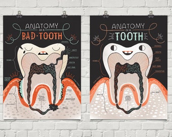 Anatomy of a Good Tooth and Bad Tooth: Two Art print Set