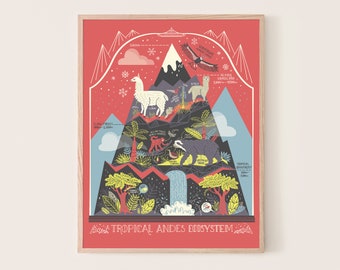 The Andes Mountain Ecosystem: Terrarium Art Print