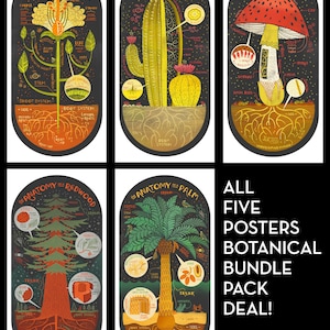 All five Plant Anatomy Art Prints DEAL
