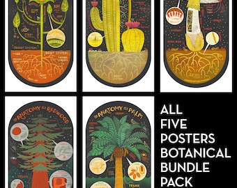May include: A set of five botanical posters featuring detailed illustrations of a flower, cactus, mushroom, redwood, and palm tree. Each poster includes labeled anatomical parts of the plant, with a black background and colorful illustrations.
