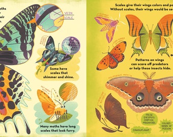 Livre Enfant : What's Inside A Caterpillar Cocoon? – Rachel Ignotofsky – Broché