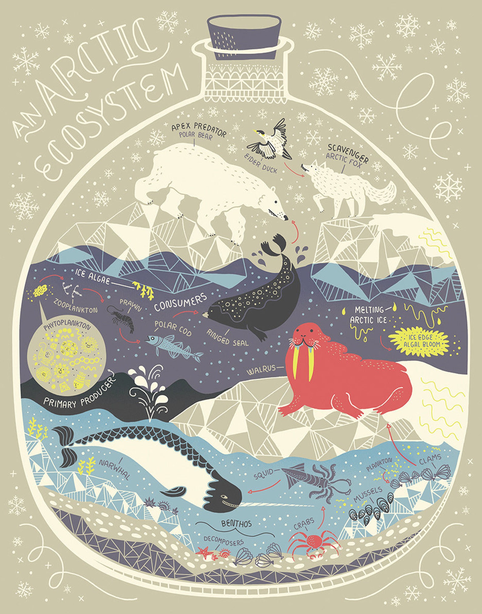 Pick Three of the Ecosystem Prints DEAL - Etsy
