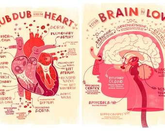 Valentine's Heart and Brain Anatomy Poster DEAL!