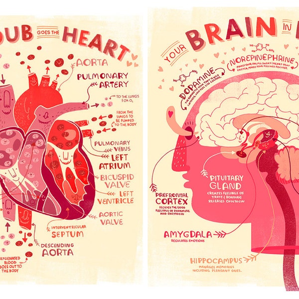 Valentine's Heart and Brain Anatomy Poster DEAL!