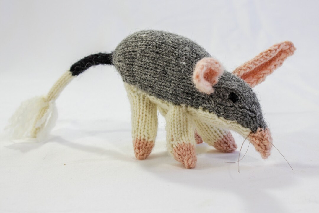 Bilby Pattern Australian Bilby Knitting Pattern: Wildlife Soft Toy (PDF Pattern) - Etsy