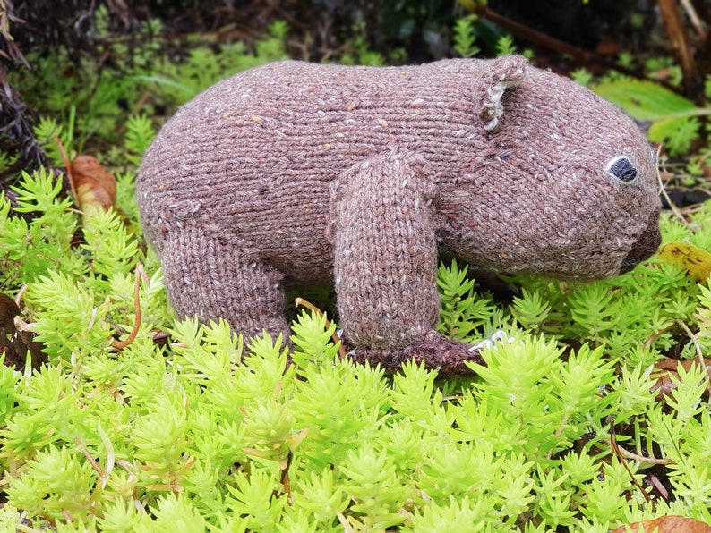 Modèle de tricot jouet wombat : animal australien réaliste (téléchargement PDF) image 2