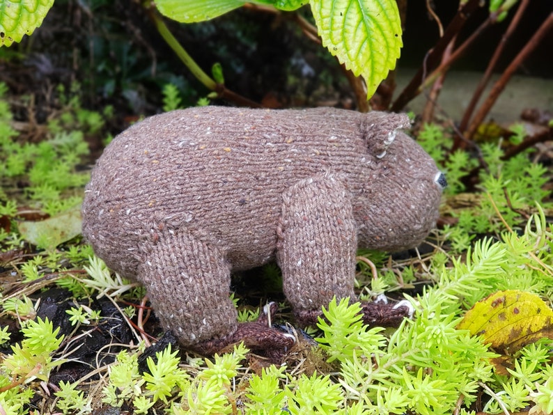Modèle de tricot jouet wombat : animal australien réaliste (téléchargement PDF) image 9