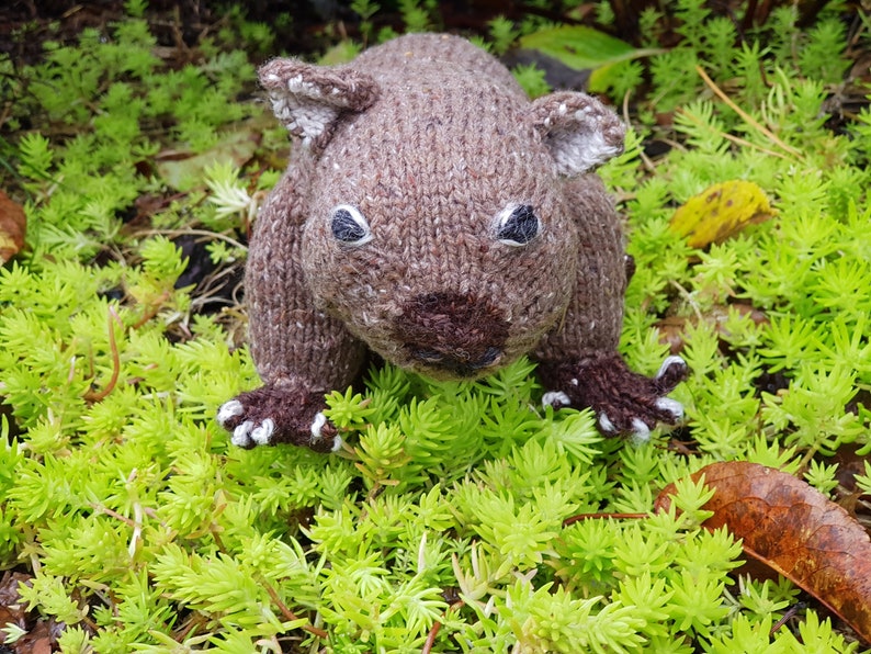 Modèle de tricot jouet wombat : animal australien réaliste (téléchargement PDF) image 5