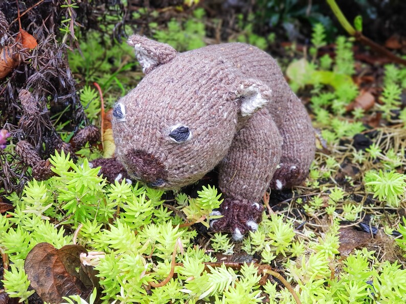 Modèle de tricot jouet wombat : animal australien réaliste (téléchargement PDF) image 8