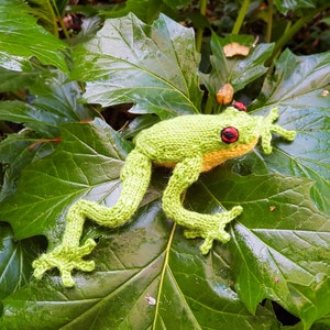 Könnte beinhalten: Ein grüner gestrickter Frosch mit roten Augen sitzt auf einem großen grünen Blatt.