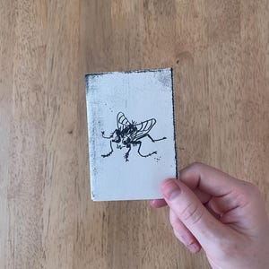 Puede incluir: Una ilustración en blanco y negro de una mosca en una tarjeta blanca.