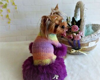 49ers dog sweater