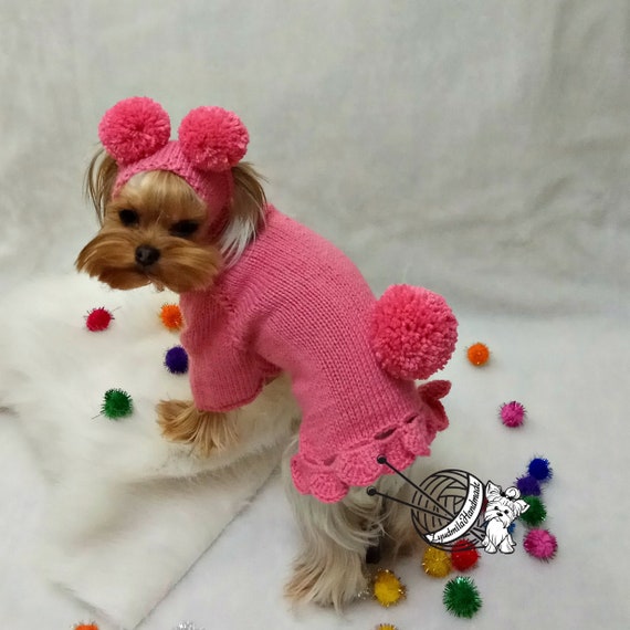 puppy clothes girl