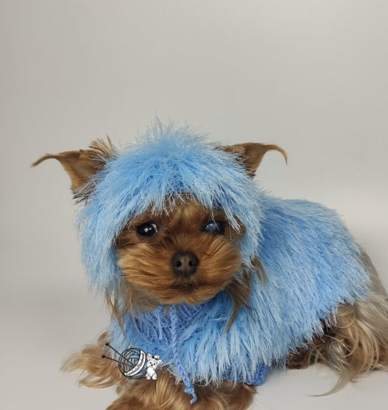 Dog Clothes Girl Dog Dress Designer Dog Clothes Dog Coat Dog Etsy