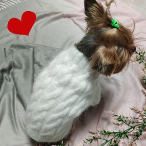 May include: A small, brown and white dog wearing a white knitted jumper. The dog is sitting on a pink and white blanket.