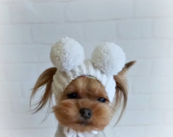 Warm hat for dog with pompom, Small Dog hat, knitted dog hat, dog hat yorkie