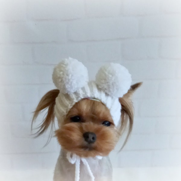Warm hat for dog with pompom, Small Dog hat, knitted dog hat, dog hat yorkie