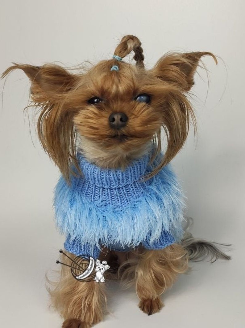 Dog Clothes Girl Dog Dress Designer Dog Clothes Dog Coat Dog Etsy